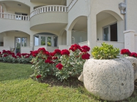 Appartements V Lux Montenegro