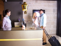 Hotel Aleksandar Rafailovici Crna Gora