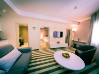 Hotel Aleksandar Rafailovici Crna Gora